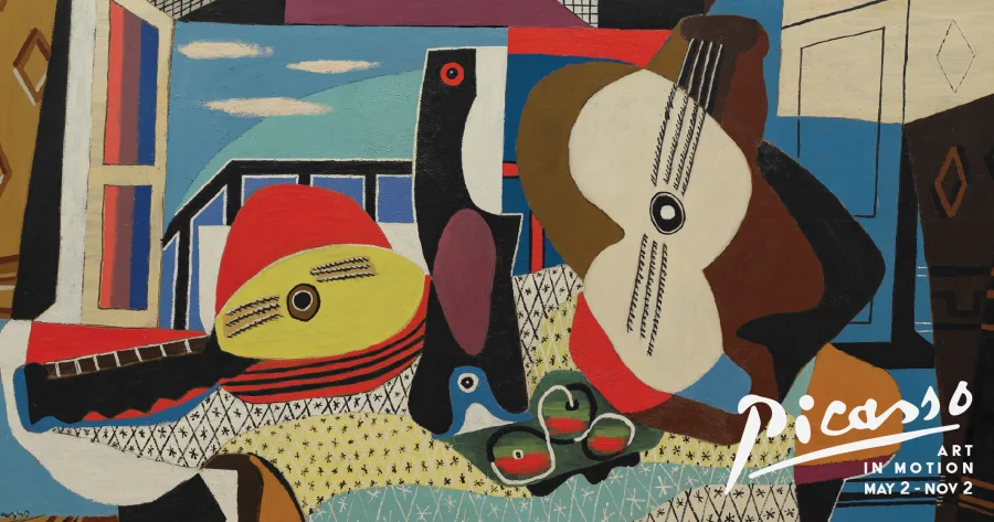 Picasso - Mandolin and Guitar image